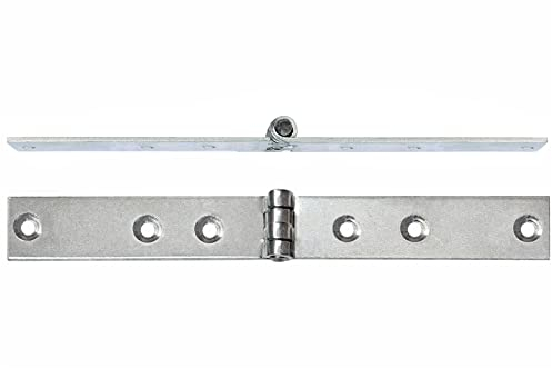 Scharniere Möbelscharniere Kistenbänder 20 x 200 Möbelband Silber Verzinkt