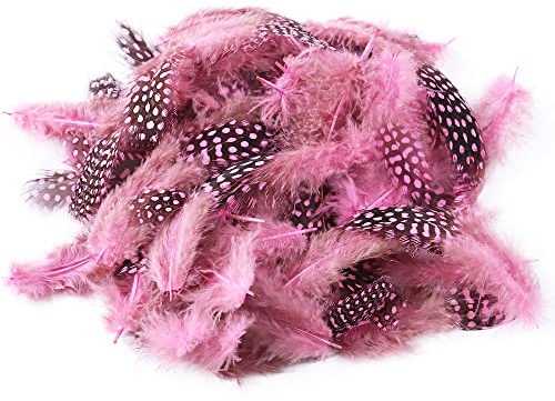 BYNYXI 100 Stück Perlhuhnfedern zum basteln, 5cm Natürliche Perlhuhnfedern Rot Lila Blau Pink DIY Traumfänger Federn Deko Bastelfeder Hühnerfeder für Crafts Kostüme Hüte basteln Zuhause Dekor