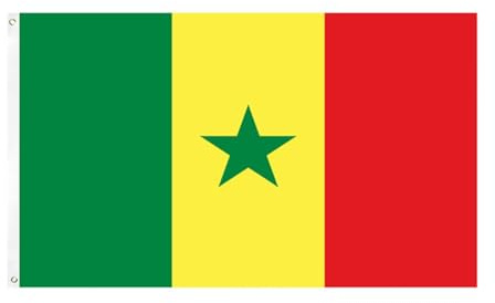 Rockreyoa Drapeau du Sénégal 90 x 150 cm avec œillets en laiton Article pour fans de football Drapeau national Sénégal 90 x 150 cm