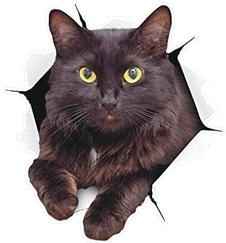 Dinntty 3D-Autoaufkleber, wasserdicht, Tier, Katze, Auto-Aufkleber, selbstklebend, Cartoon-Autoaufkleber, ästhetischer Aufkleber für Auto-Styling-Dekor