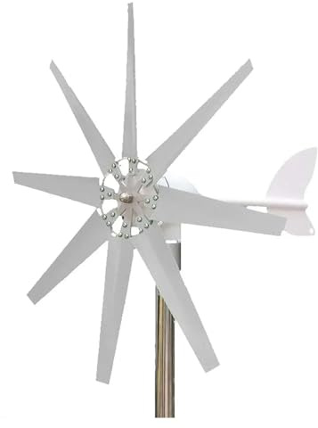 QZCX Aerogenerador Eolico, Generador de turbinas eólicas de 12V, 24V, 700W, 8 aspas, fácil instalación, turbinas eólicas de Arranque de Baja Velocidad del Viento(48V)