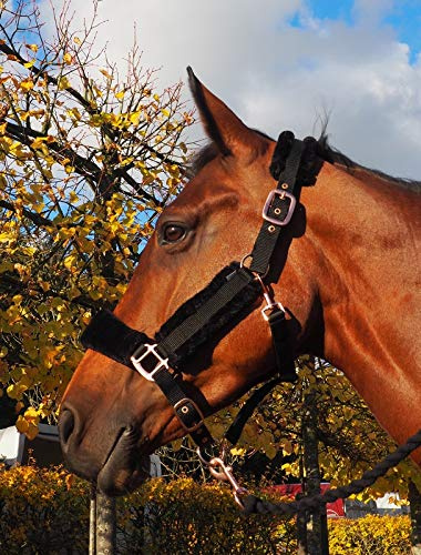 H&B HB Halfter Roségold Teddy - Size Pony