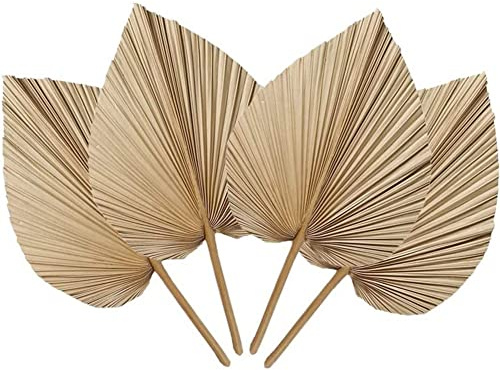MAKIVI 4 Hojas de Palma Secas Naturales DecoracióN de Hojas de Palma, DecoracióN, DecoracióN del Hogar, Bodas