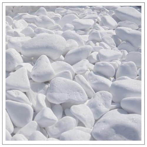 V-PREMIUM SOLUTION Weiße Kieselsteine 5 kg – Schneeweiße Dekosteine für Gartendeko, Wege, Blumentöpfe & Innenbereich – 2-4 cm – Thassos