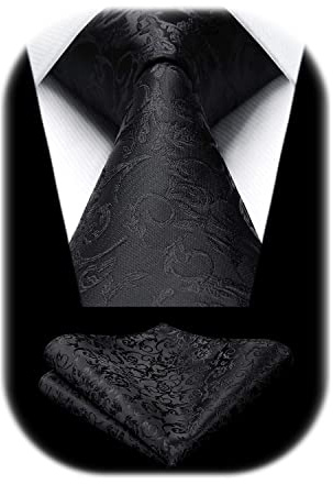HISDERN Herren Hochzeit Krawatten und Einstecktuch Set Paisley Krawatte Jacquard Einfarbige in Verschiedenen Farben