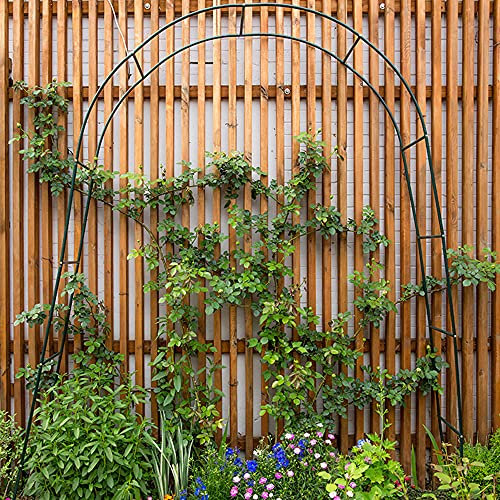 Meng Arcos De Jardín De Metal Arco De Jardin De Hierro Forjado Arco De Boda para Plantas Trepadoras Rosas Y Enredaderas, Fácil De Montar, Verde Oscuro