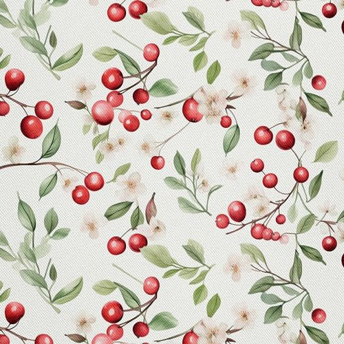 HEKO PANELS Stoff Oxford Wasserdichte Meterware Canvas-Stoff Polyester Nähstoff Dekostoffe Handwerken Wasserabweisend Blickdicht Obst Kirschen Aquarell Wasserfarbe 1 Meter 155 x 100 cm DX2676