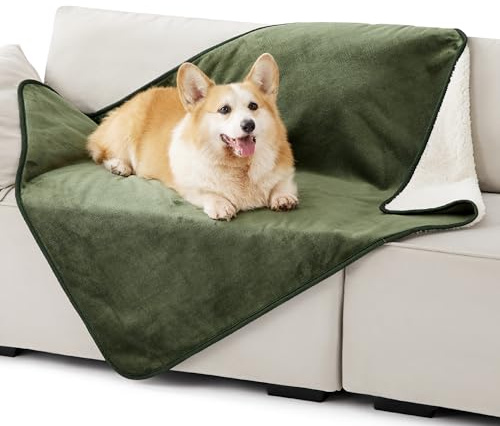 LE SURE Hundedecke Wasserdicht，100x120cm wasserdichte Decke Sofa,Olivgrün | Hundedecke für unterwegs, grosse Hunde Decke Fleece waschbar, Katzendecke flauschig und weich für Bett, Auto, Outdoor