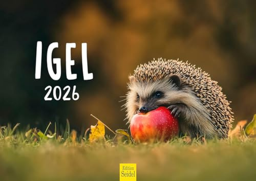 Edition Seidel Calendario premium 2026 de erizo, formato DIN A4, calendario de pared, calendario de animales, con bonitas imágenes, animales, bosque, animales salvajes