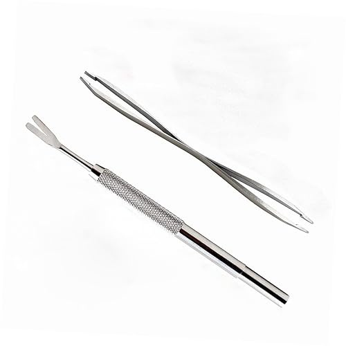 Toyvian 2pièces Kit Outils De Retrait Acier Inoxydable pour Chats Et Chiens Outil De Retrait Et Pince à Épiler Kit De Acier Inoxydable