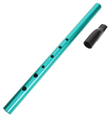ARTSEWPLY Schülerflöte C-dur für Anfänger Irische Flöte als Blasinstrument zum Üben für Junge Mädchen und Erwachsene Robustes Musikinstrument für Schulbands