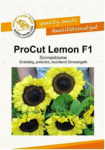 Blumensamen ProCut Lemon F1 Sonnenblume Portion