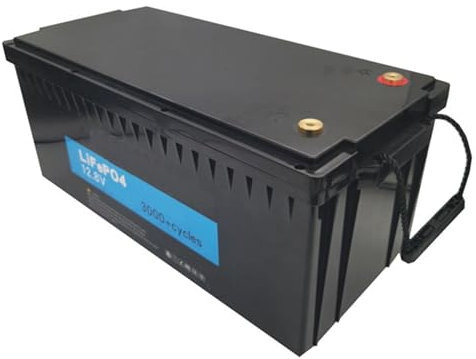 FREEDOH Lithium-Eisenphosphat-Batterie 12 V LiFePO4-Batterie 12 V 200 Ah 280 Ah 300 Ah Eingebautes BMS für die Solar-Notstromversorgung von Wohnmobilen,12v280ah