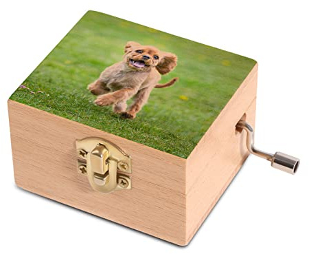 OXYEFEI Cajas de Musica Personalizadas Caja de Música de Manivela de Madera Cajas Decorativas Vintage con Fotos Personalizada Gratis Regalos para Amantes de la Música (Estilo de Foto)