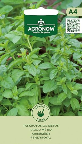 AGRONOM | Menta pulegio - Semi | Semi di fiori | Pianta erbacea perenne con profumo mielato | Viene utilizzata in tisane e per aromatizzare i cibi | Semi di piante | Semi da giardino |1 confezione