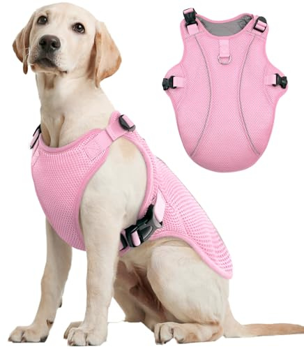 Kuoser Chaleco refrigerante XL para perros, transpirable, abrigo de refrigeración para perros, chaqueta refrigerante ventilada, actividades al aire libre, senderismo, entrenamiento, verano, paseos