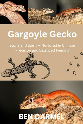 GARGOYLE GECKO: Stone and Spirit — Nurtured in Climate Precision and Balanced Feeding