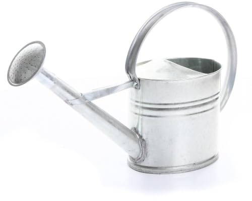 rg-vertrieb Zinkgießkanne 8 Liter Gießkanne Metallgießkanne verzinkt Blechkanne Deko