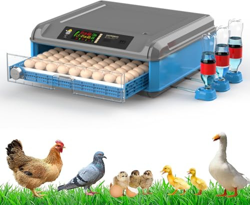 Automatisk ägginkubator med temperaturkontroll och svarvare för kläckning av kycklingar, ankor, gäss, vaktel