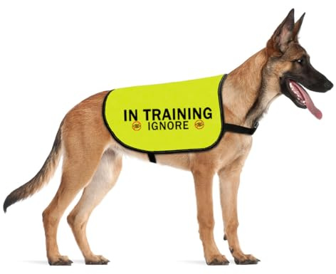 CENWA In Training Ignore Hundejacke – Warnweste mit nervöser Angstspruch (Training Ignore L)