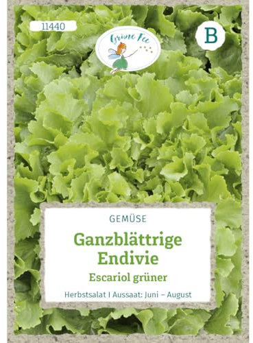 Grüne Fee - Ganzblättrige Endivie Escariol grüner Samen - 11440