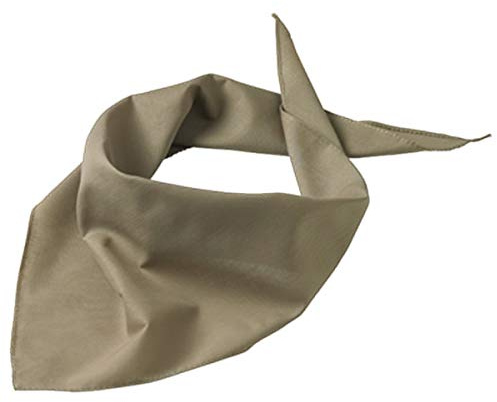 Druckecke Hundehalstuch mit Pfoten und Wunschname Bestickt | 18 Farben (Khaki)