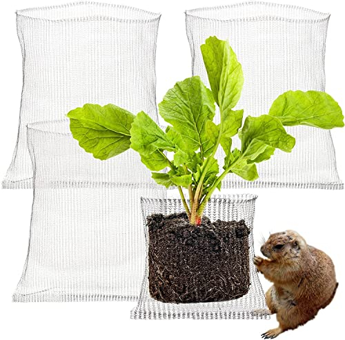 4 Stück Wurzelschutz aus Edelstahl für Pflanzen, 35 x 35 cm, Wurzelschutz, Körbe für Wühlmaus und Wühlmaus-Drahtkörbe für Pflanzen, Beeren, Gemüse, Wurzelschutz, Silber