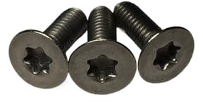 NUZBCPETR Schrauben, Senk- und Torx-Innensechskantschrauben aus Titan GR46(M1.6 x 4mm)
