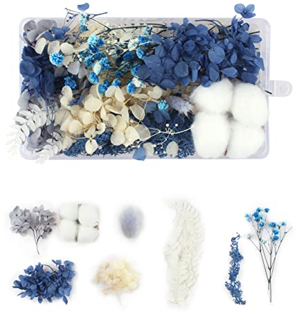 DEZ Scatola di Fiori Secchi - Composizione Floreale Naturale Decorativa