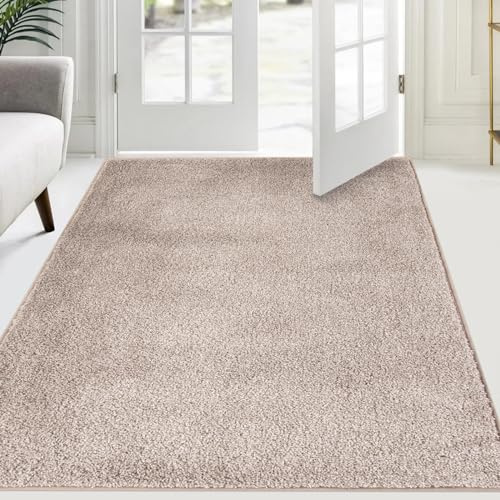 FCSDETAIL Smutsabsorberande matta för inomhus, 120 x 180 cm, halkfri renhållande entrématta, entrédörrmatta, vattenabsorberande, golvmatta, tvättbar matta för vardagsrum och sovrum