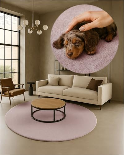 TEXMAXX Weicher Kurzflor Teppich Wohnzimmer mit rutschhemmender Rückseite (100 x 100 cm Rund) - Modern für Flur, Esszimmer und als Schlafzimmer Teppich in Pastel-Rosa - Waschbar bis 30 Grad