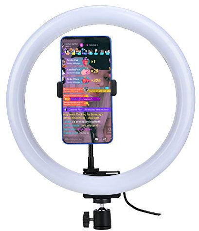 Anneau Lumineux 12W 12 Pouces, 160LED, intensité Variable, Interface USB, Plug and Play, 3200K-5600K, pour Le Maquillage, la Diffusion en Direct, Youtube