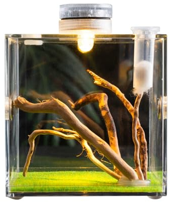 Eventerde Recinto de araña de salto, acrílico tarántulas, sala de estar, kit de terrario de arañas, jaula de arañas, terrario de insectos, araña de salto, accesorios de recinto