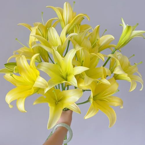 bulbi di giglio - d'appartamento esotiche decorazioni giardino 3pcs