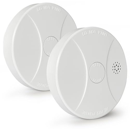 2 Pack Smoke Alarms for Home 10 Years Lifetime Optical Smoke Detector Fire Alarms 9 V Photoelectric Smoke Alarm with Replaceable Battery Test & Silence Button for Halls RV Tenant