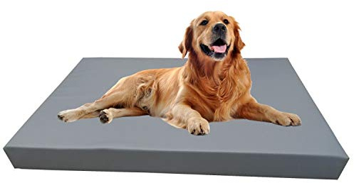 Barry & Lucy Hundelager Hundematte Hunde Matratze Hundeschlafmatte Hundebett Hundekissen Hundeplatz Kunstleder viele Farben (125x100x10, grau)