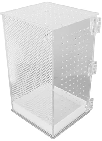 Reptilien Terrarium Tank, Acryl Transparente Insekten Futterbox, Amphibien Aufzuchtbox für Tarantel, Einsiedlerkrebs, Springspinne, Leguan, Schildkröte, Leopardgecko, Frosch, Bartagame(L)