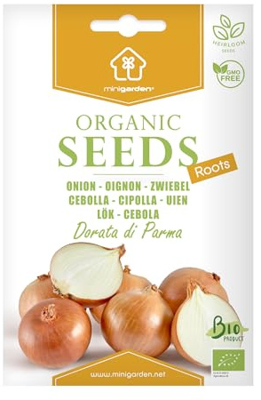 Oignon Dorata di Parma, Graines certifiées biologiques prêt à Pousser Minigarden, 100% Naturelles sans Propagateurs Chimiques ni Génie Génétique, inclut entre 200 et 250 graines
