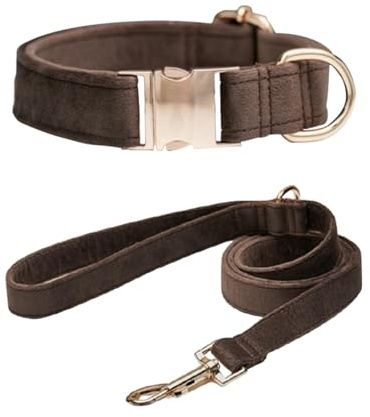 Personalisiertes Wildleder Hundehalsband mit Text, Halsbänder & Leinen für Hunde, Verschiedene Größen Und Verstellbar für Welpen, Katzen Und Mittelgroße Bis Große Hunde Braun Mit Leine XS