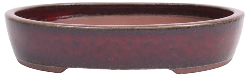 Bonsai - Schale oval 36.5 x 31 x 7.5 cm, Bordeaux 40273