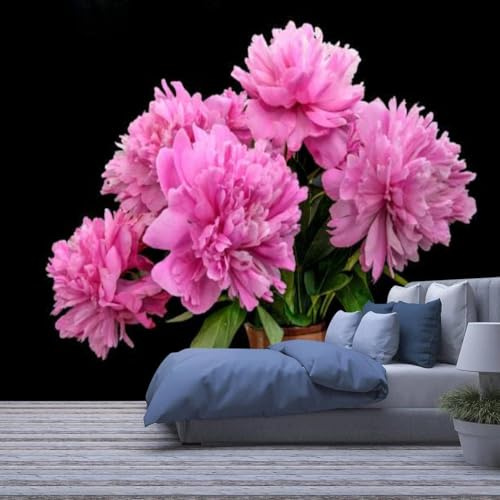 Fond D'Écran 3D Pour Adolescents Mural Wall Print Decal Peintures Murales, Papiers Peints Décoratifs Home Decor Affiches Murales Amovibles Photo Murale Auto-Adhésive 250 x 175 cm -789556-24902