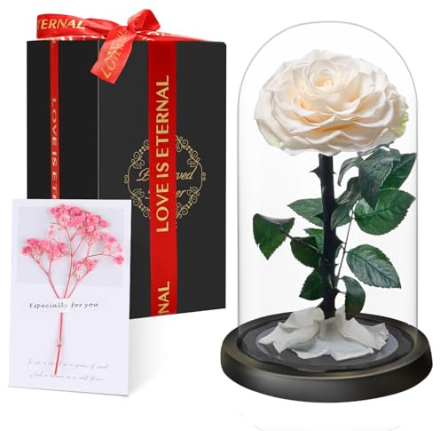 Premium Ewige Rose im Glas mit Geschenkbox | Echte konservierte Blume in Handarbeit für 5 Jahre | Einzigartiges Geschenk für Frau, Mama als Liebesbeweis zu Valentinstag, Muttertag, Weihnachte, Weiß