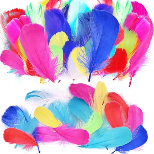 Tigvio 300 Stück Federn, Bunte Federn zum Basteln, Feder Handwerk, 8~12cm Feather Deko für Traumfänger Basteln Ohrringe Kopfschmuck, Geeignet für Hochzeit Schulhandwerk Weihnachten Halloween Ostern