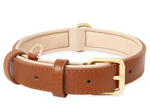 HEELE Collier pour Chien, en Cuir, Collier de Chien Ajustable Coussin Moelleux Cuir Nouvelle Couleur de Rembourrage pour Petits, Moyens ou Grands Chiens, Marron, M