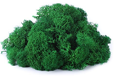 IHKFILAN Islandmoos Zum Basteln Moos Pflanzen Deko Mooswand Lebend Konserviertes Haltbares Natur Moos Dekomoos für Die Zu Ostern,Modellbau (Smaragdgrün, 100g)