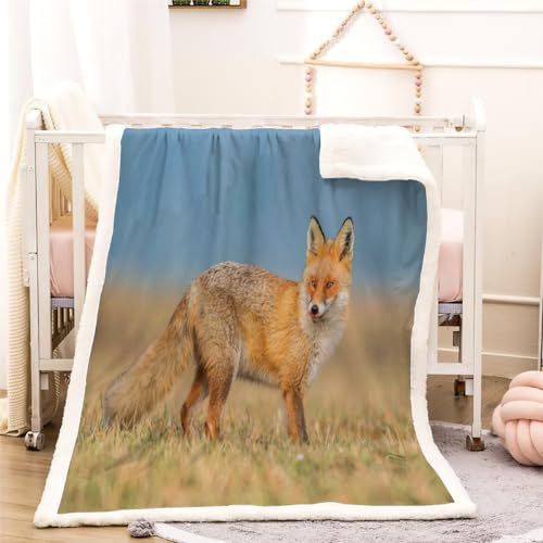 Fuchs Kuscheldecke Flauschig 100x130cm Wilde Tiere Kinderdecke Babydecke Flanell Wohndecke Weiche Warme Flauschig Sherpa Decke für Sofa Bett Couch Mädchen Jungen Winter Blanket