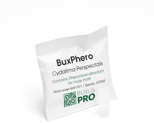 BuxusPro BuxPhero Pheromone Lure Refills for Box Tree Caterpillar Moth Traps, Pack of 4
