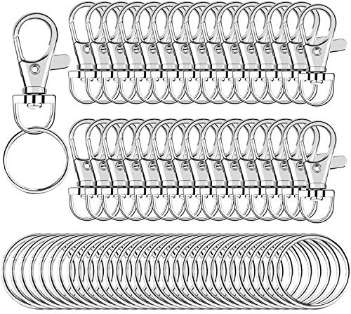 SANNIX 60pcs Keyrings Key Chain Clip Hooks Swivel Clasps Lanyard Snap Hooks with Split Key Rings, Keychain Hooks for Hanging Crafts Jewellery Making