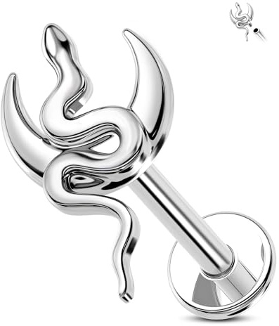 Jewseen Herz Knorpel Ohrring Schlange Flache Rückseite Mit Innengewinde Lippenstecker 16G Labret Ohrstecker Tragus Piercing Schmuck