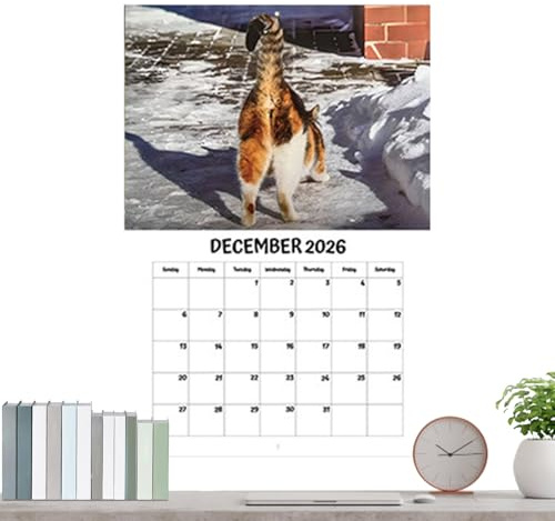Wandkalender, Dekorationsplanblock, Organizer, Jahreskalender, Jahresplaner für die Wand, für Familie, Kinder, Lehrer, Schule, Klassenzimmer, Büros, Zuhause, Kühlschrank
